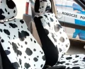 Pokrowce Samochodowe RODEO
